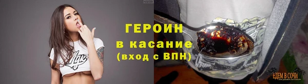 индика Арсеньев