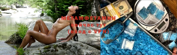 индика Арсеньев