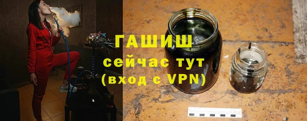 индика Арсеньев