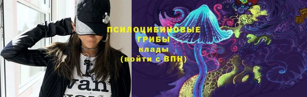 индика Арсеньев