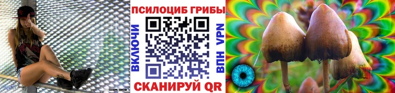 купить закладку  Елабуга  Псилоцибиновые грибы мухоморы 